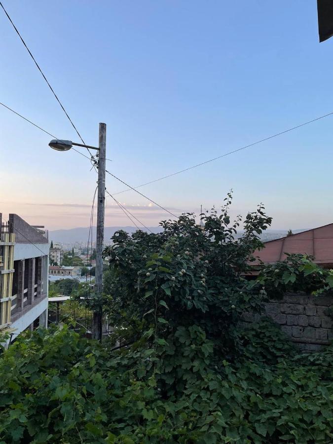 Guest House Zemeli Tbilisi Ngoại thất bức ảnh